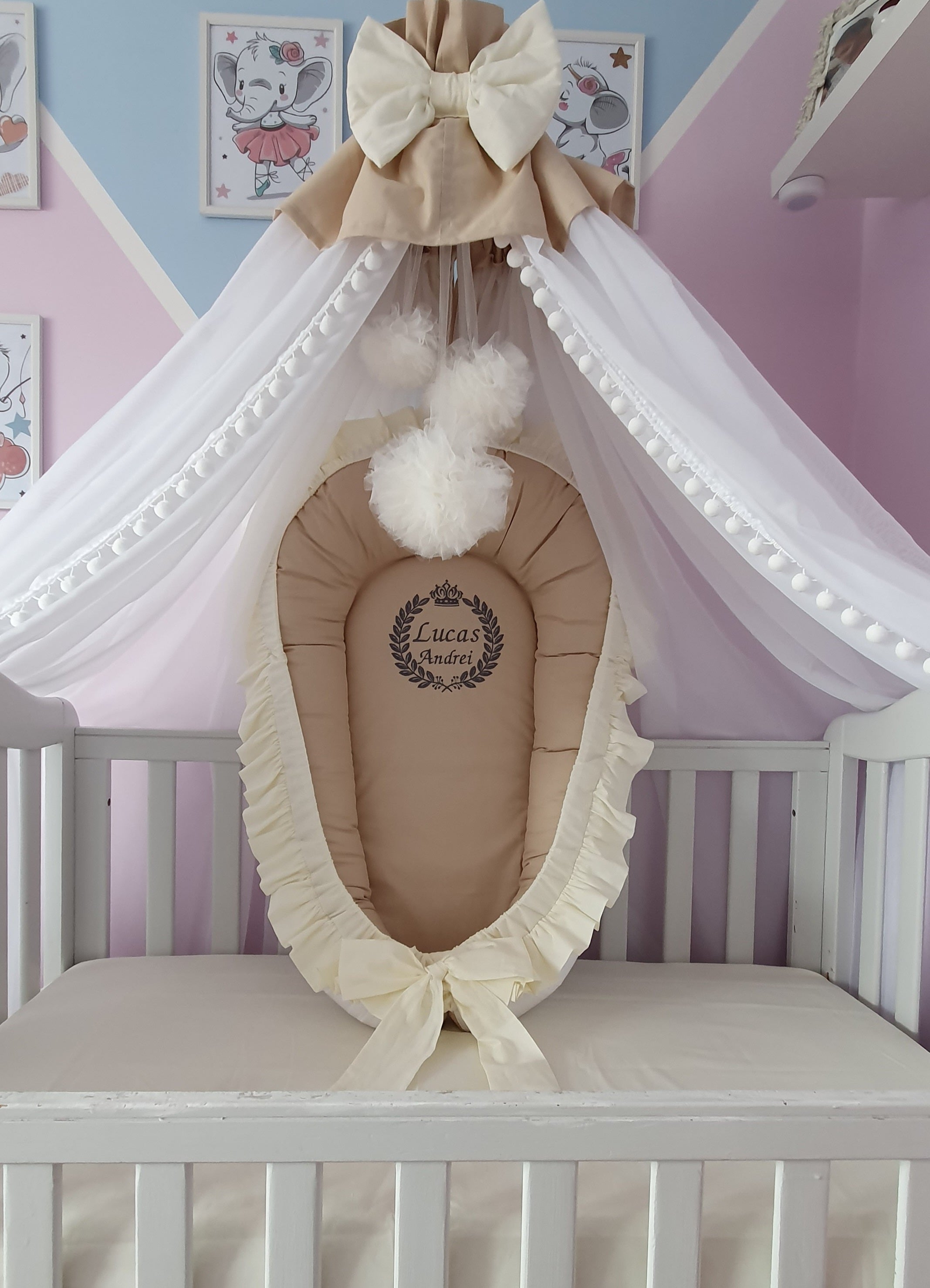Baby nest and canopy